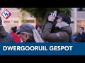 Vogelaars blij: dwergooruil gespot in Delft