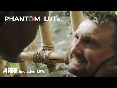 Phantom LUTs - Film Stock Emulation - SONY, BlackMagic, RED, Canon, Panasonic & ARRI Alexa