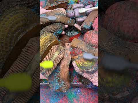 CLEANING SQUISHY ASMR