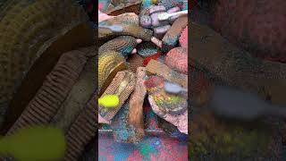 Download lagu CLEANING SQUISHY ASMR mp3