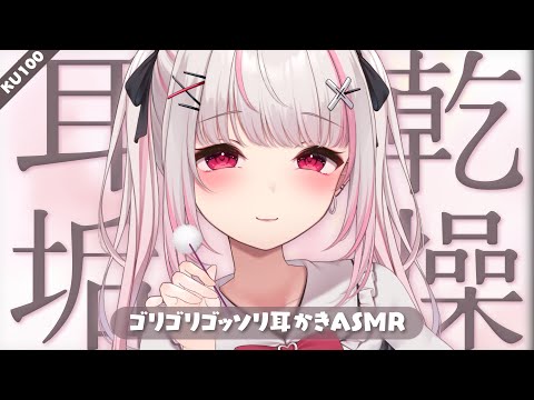 配信予定地〖木蜜甜花 / めいどるーちぇ〗