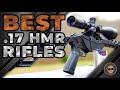 Best .17 HMR Rifles 🔫: Round-up | Gunmann