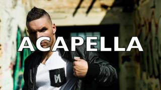 Fler - Attitude Ft. Bushido & Shindy-ACAPELLA