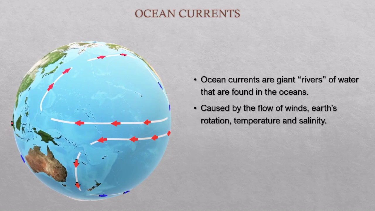 Which ocean current is responsible for the cold dry air what type of current is it?