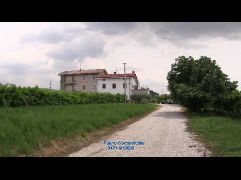 Futuro6129 Cavaion Veronese Vendesi Azienda Agricola