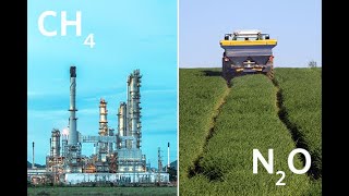 CIENS webinar–The importance of the «other» greenhouse gases, methane (CH4) and nitrous oxide (N2O)