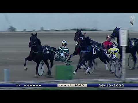 Aversa trotto 26 Ottobre 2022 - 7° Corsa