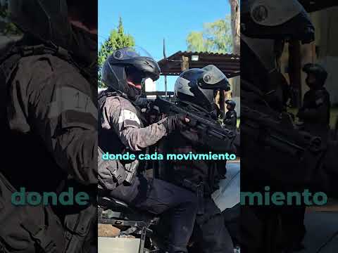 No alcanza con portar: La exigencia del operador de escopeta en el G.P.M.