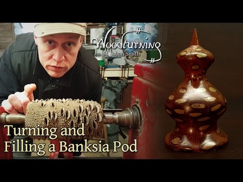 #44 Woodturning a Banksia Pod Nut with Bronze Infill - Trypophobia?