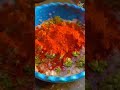 Surat Famous Kashmiri Chicken Dum Biryani Rs 100 Foodie Shorts Streetfood Foodieshorts Recipe