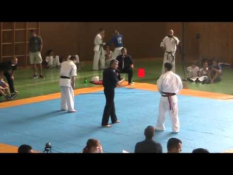 Lasha Ozbetelashvili Austrian Open 2014