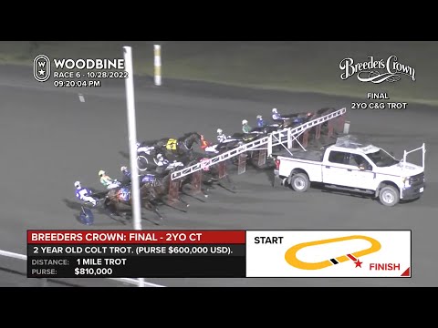 2022 Breeders Crown 2YO Colt Trot - Final