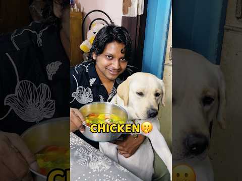 Pogo Ko Chicken Khila Diya😱🐓 #shorts #vlog #minivlog #dailyvlog #labrador
