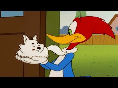 Capa de Pica-Pau | Babá de Cachorro + Outros Episódios Completos