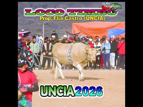 X Toro Tinku Norte Potosino UNCIA 2026 "Artillero-Loco Timbo".  #almaproduccionesbolivia#shortsviral