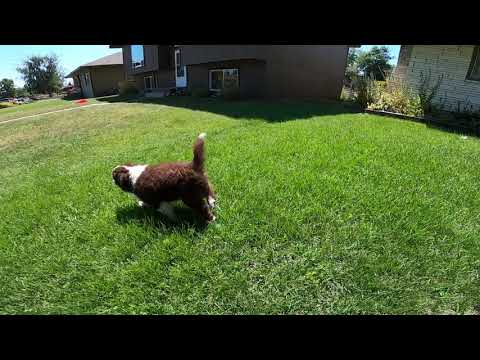 First day meeting Makai