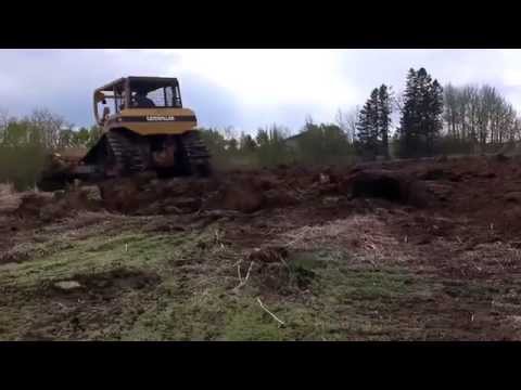 D6h cat pushing dirt