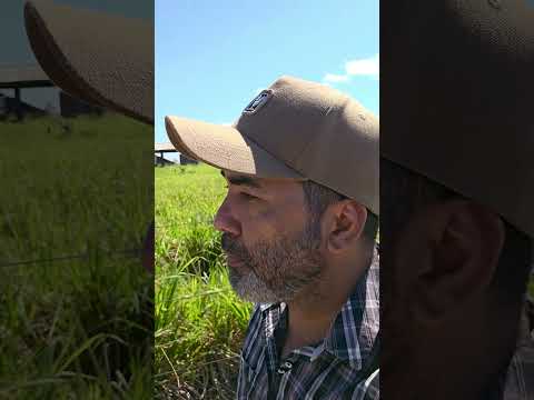 Fazenda a venda de 157 há em CUJUBIM RONDÔNIA