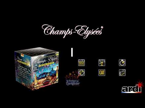 22392 - Compact Le Grand Palais - La Boutique De Lartificier