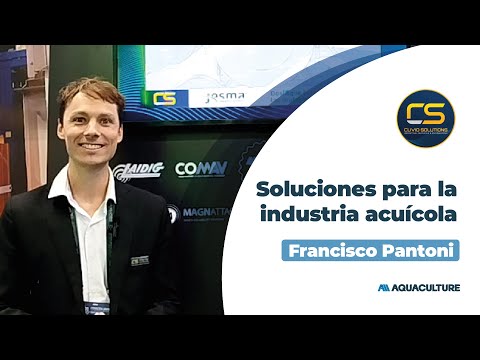 Clivio Solutions - Francisco Pantoni