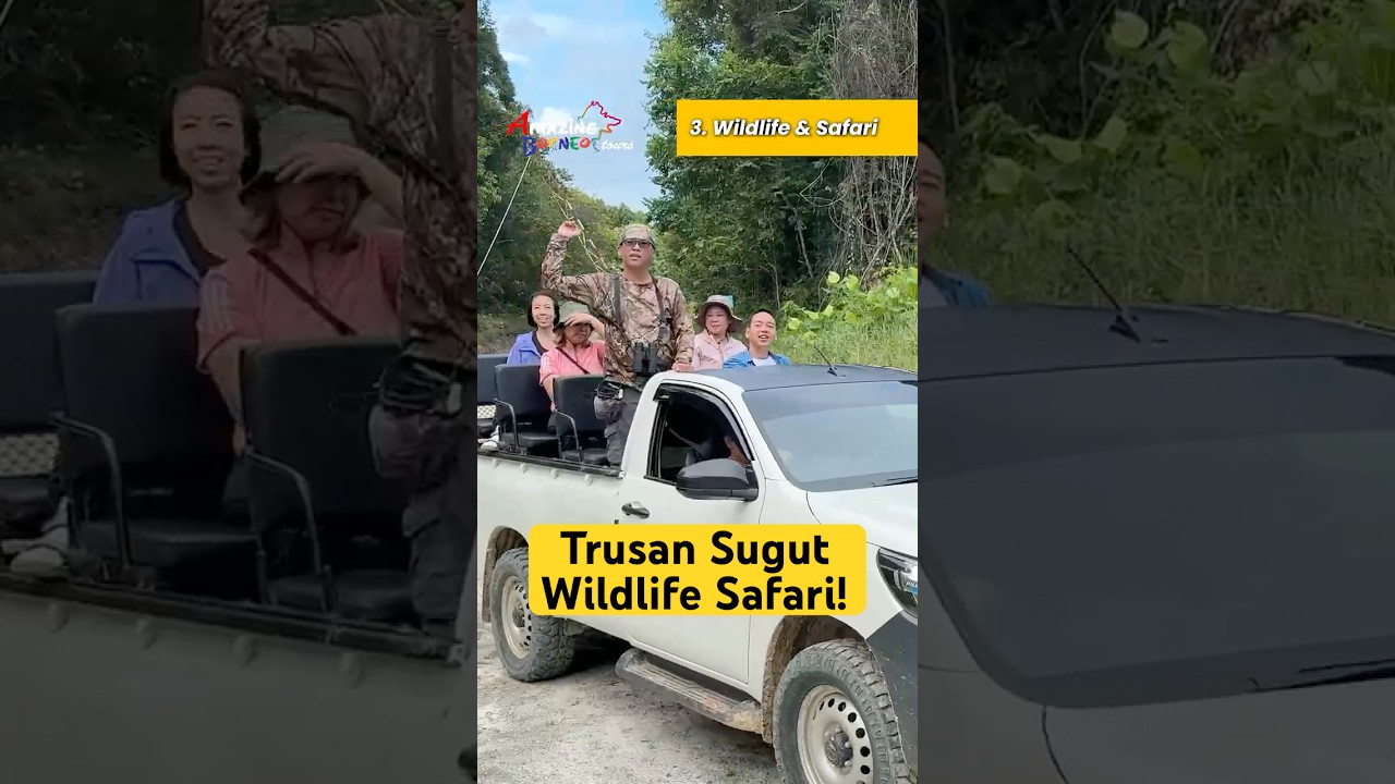 Video Thumbnail - 4D3N Trusan Sugut Wildlife Safari &ndash; Borneo's Rainforest Wilderness