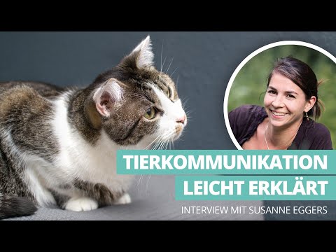 Tierkommunikation leicht erklärt - Interview mit Expertin Susanne Eggers