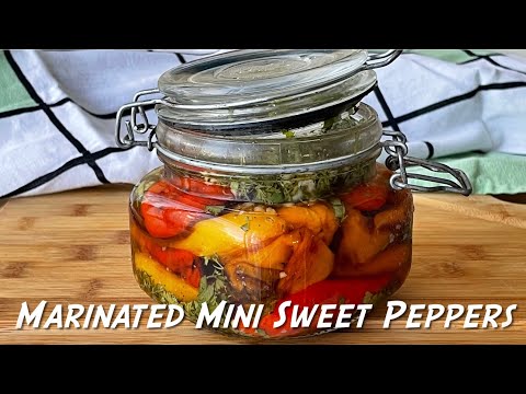 Easy Marinated Mini Sweet Peppers | Air Fryer ( Ninja) Recipe