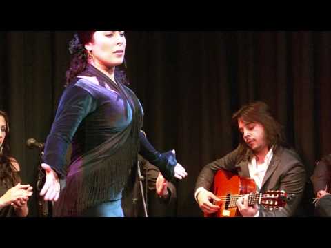 CASA PATAS 22 SONIA FERNÁNDEZ