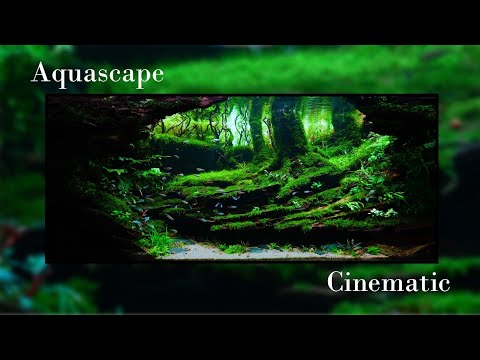 #IAPLC Classificação 324 - IAPLC 2023 Por