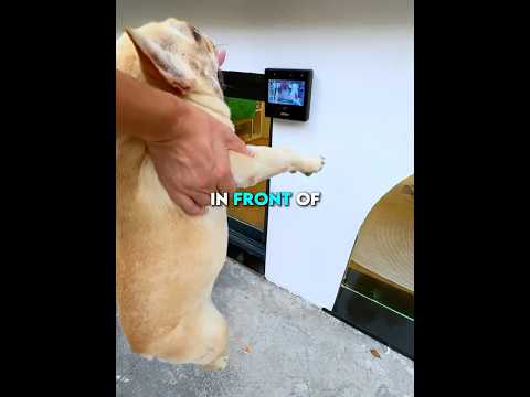 This man has a secret mancave 🫨😍#shorts