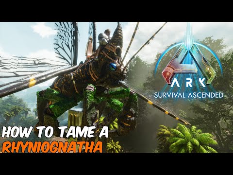How to Tame a RHYNIOGNATHA with MAX LEVELS in ARK Survival Ascended