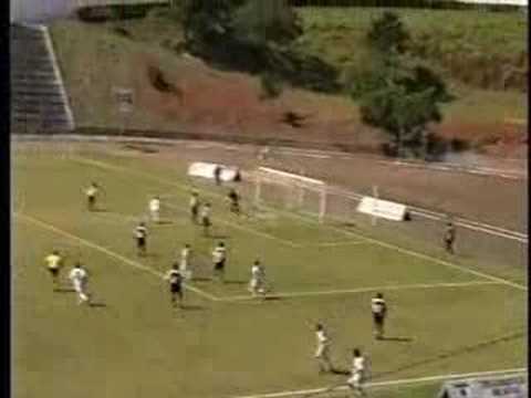 Fernando Henrique, Goleiro (2006, C. A. Linense, Lins/SP)