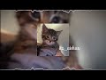 Clouds Of Joyfulness غيوم الفرح Muhammad Al Muqit Sped Up Reverb Arabic Nasheed