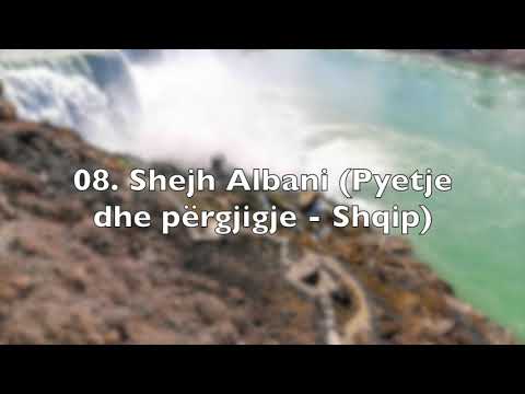 08. Shejh Albani (Pyetje dhe përgjigje - Shqip)