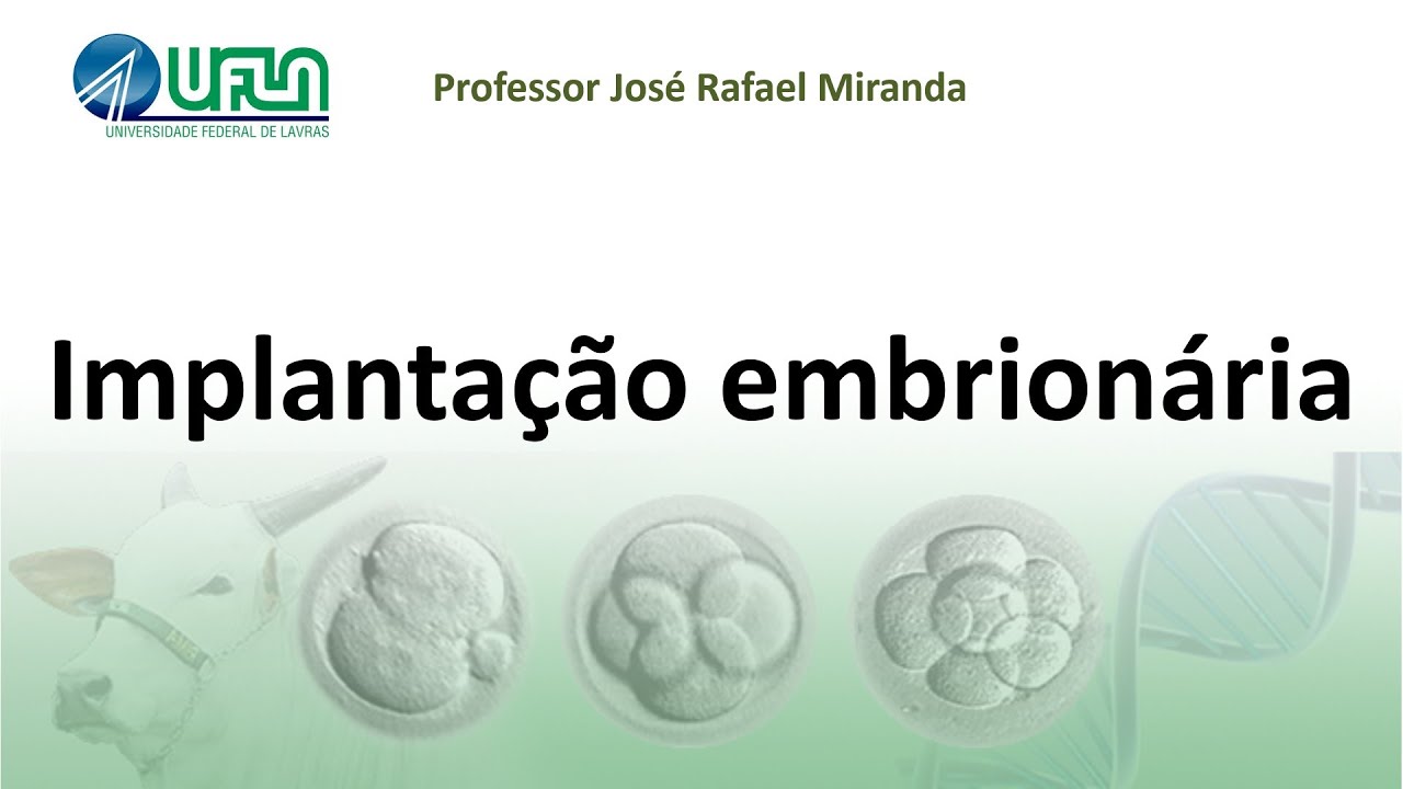 Implantação  embrionária
