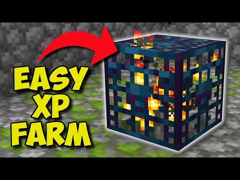 Insane Spider XP Farm! Watch Farzy's Epic 1.17+ Tutorial!