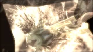 &quot;Video: Dandelion Fairies &amp; Leonard Cohen&#39;s Light As The Breeze By Martin Ferrabee&quot;