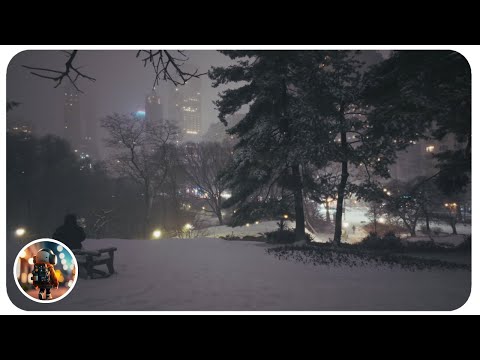 [4K] Let's walk Central Park at night in the snow!