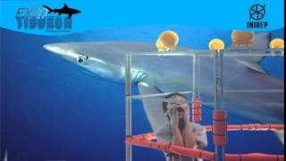 DIA 3 Expo Tiburon34