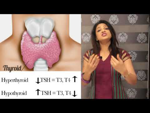 Understanding Thyroid In Pregnancy