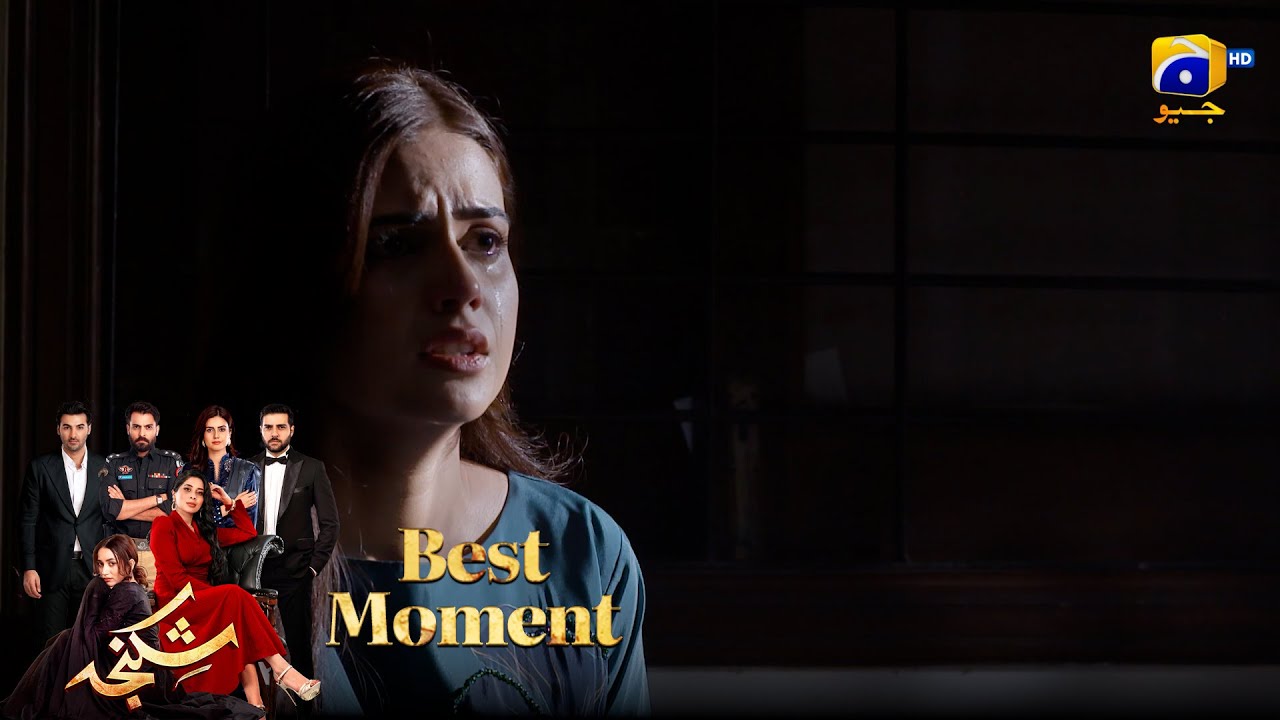 Shikanja Episode 36 |  𝐁𝐞𝐬𝐭 𝐌𝐨𝐦𝐞𝐧𝐭 𝟎𝟏 |  Azekah Daniel - Asad Siddiqui - Furqan Quresh | Har Pal Geo