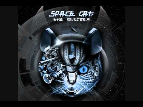 Pixel vs Space Cat -Clear Test Signal (Space Cat New Mix Live Edit)2011