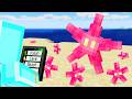 Minecraft But Pets Beat The Game For You