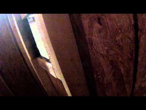 Cool Combat Airsoft Seal Team SIX Record 8 Vs 50