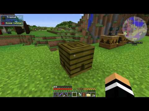 S09E29 ATME - Demonic Will and Tropical Bees