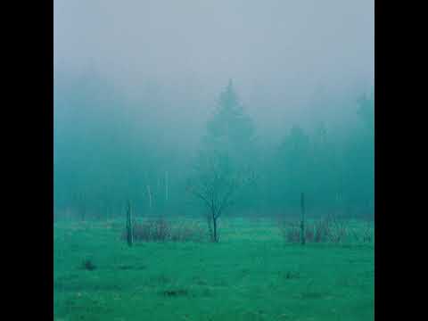 BAILE & Ellyn Woods - Follow