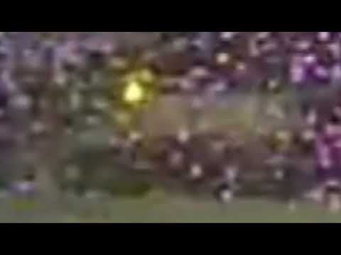 The individuals of Fairview 