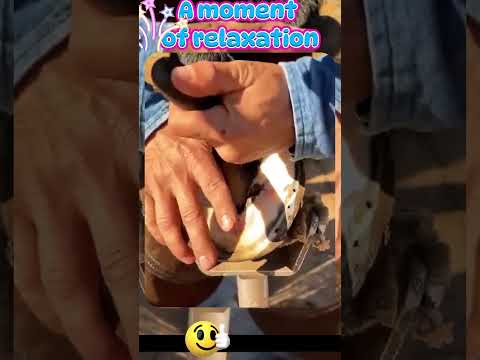 Wonderful moments in horseshoes, an immersive beginning #asmr #relaxation #comfort #house