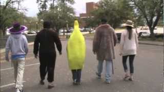 South City Records - Festival Promo 2013