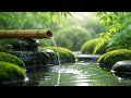Anxiety Relief Bamboo Fountain Ambience With Relaxing Music For Meditation Stress Free Calm